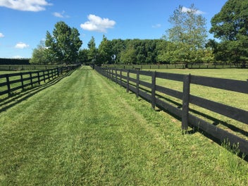 Premium Location, Elite Soils & Equine Facilities