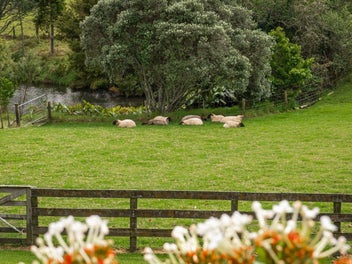 Lifestyle Living, Equestrian Edge, Developer Depth