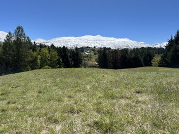 Image 1 of 7