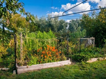 Urban Food-Forest Property