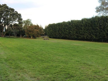 A Final Opportunity in a Tightly Held Setting