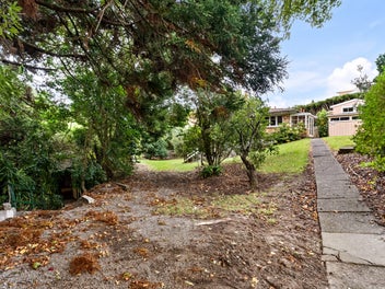 Avondale - Love Me, Develop Me Or Land Bank Me