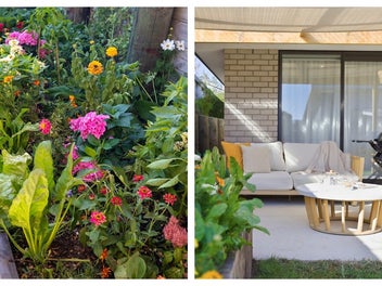 Nothing surprises me…THIS ONE DOES!