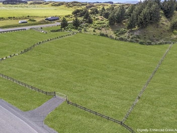 Dream Big by the Beach