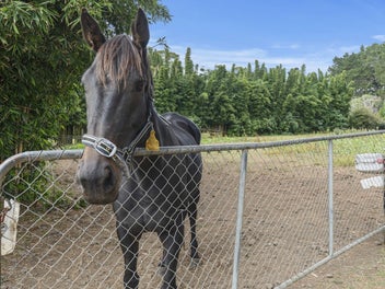 Flat Land, Space, Privacy Opportunity Awaits