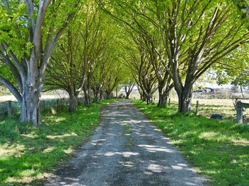 Image 1 of 21