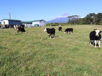 PRESENTATION PLUS LIFESTYLE PROPERTY