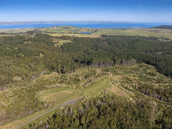 Rare Coastal Lifestyle - Kingfisher Lot 7