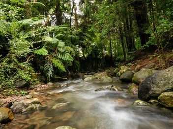 A Spacious Slice of Rural Paradise