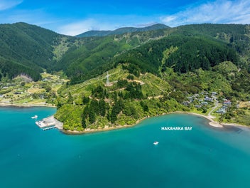 Classic Kiwi Entry Level Bach