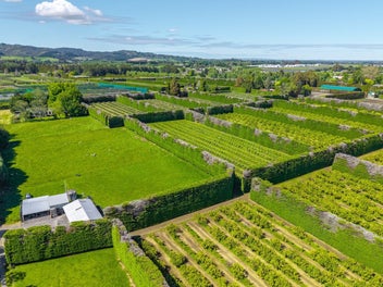 Prime Ardmore Investment Opportunity