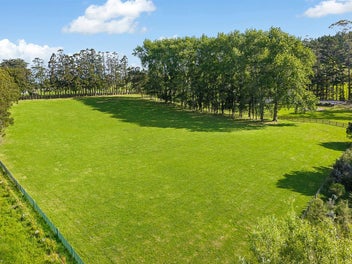 WHISPERING TREES - Create the Dream