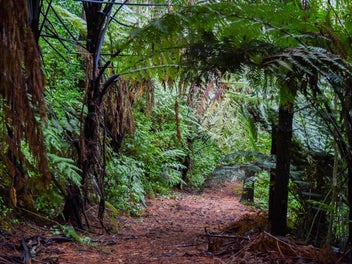 Your Own Nature Retreat - Nearly 2ha in the City!