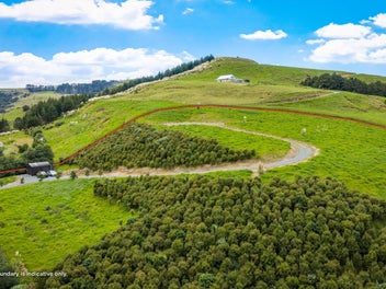 Elevated lifestyle living in Whangaripo Valley