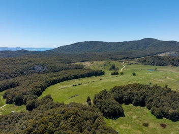 Image 1 of 40