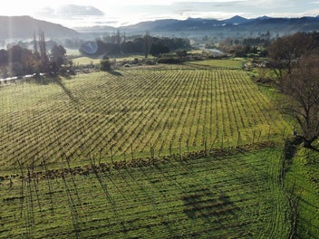 Lifestyle land on the edge of town