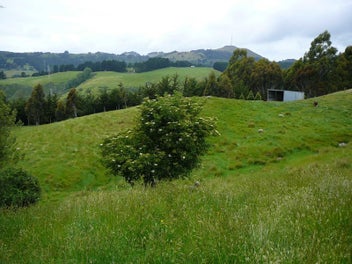 Semi-rural vacant block 3.7ha, 15 mins from CBD