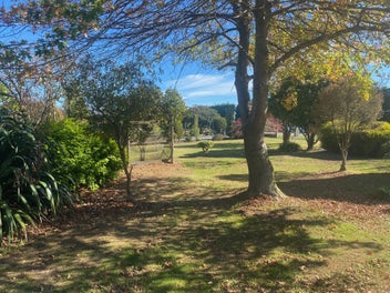 Image 1 of 17