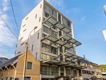 SUNNY CITY SANCTUARY