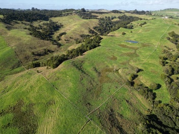 Image 1 of 17