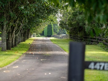 Scale, Style, and Multi-Generational Appeal