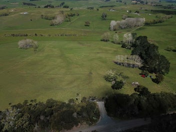 Tahanga Road Dream