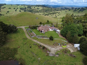 Image 1 of 46