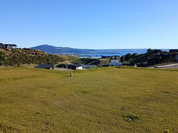 Architectural Luxury in Redwood Park