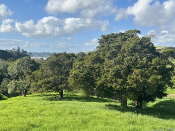 Image 1 of 21