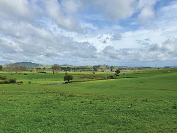 LUSH FERTILE LAND - 1.42HA