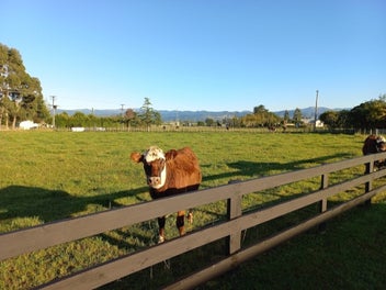 Beautifully Presented Lifestyle Property