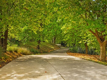 The Art of Living - Nature, Elevation, and Ease