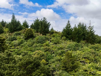 Your Dream Lifestyle with Stunning Kaipara Views