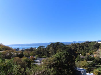 Image 1 of 16
