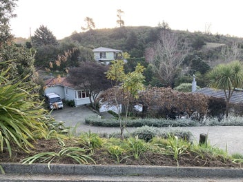 Image 1 of 14