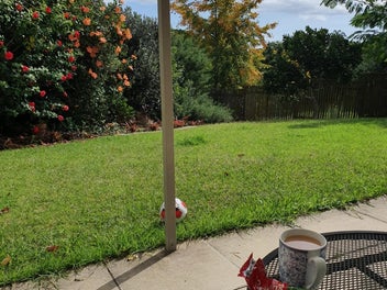 Image 1 of 18