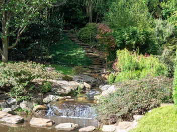 What Dreams are Made of and Memories are Made