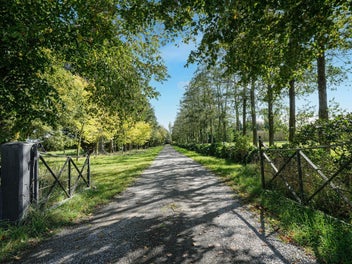 Image 1 of 9