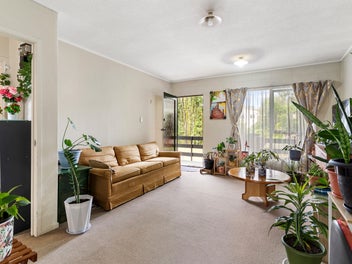 Kingsland Starter with Sun and Soul