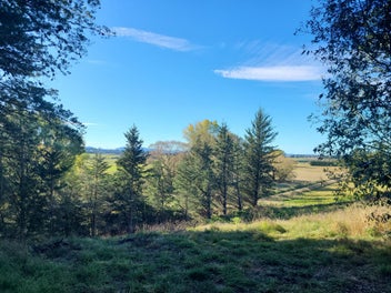 Image 1 of 8