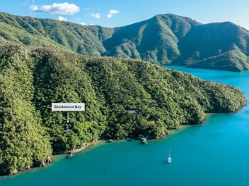 Authentic Sounds living - own the Bach dream!