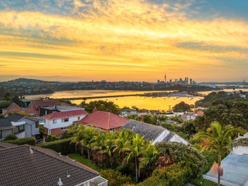 Multi Use Development Options