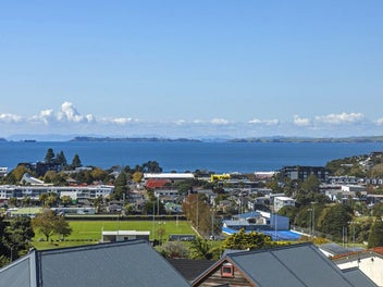Image 1 of 17