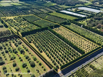 Ignore CV - Vendors Ready to Move