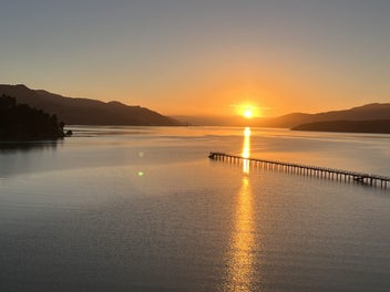 Image 1 of 15