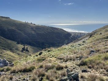 5000sqm section 1010 Summit rd.