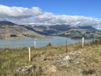 Image 1 of 7