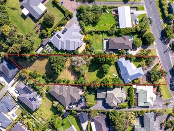 Start here, grow into the future