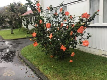 Image 1 of 13