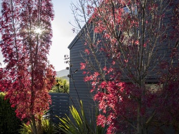Elevated North Facing Home in Jack’s Point